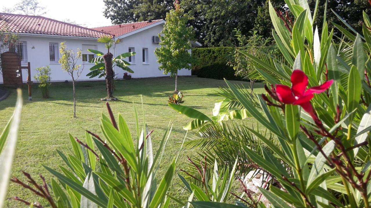 Chambres D'Hotes - Le Petit Bali Saint-Pandelon Exterior photo